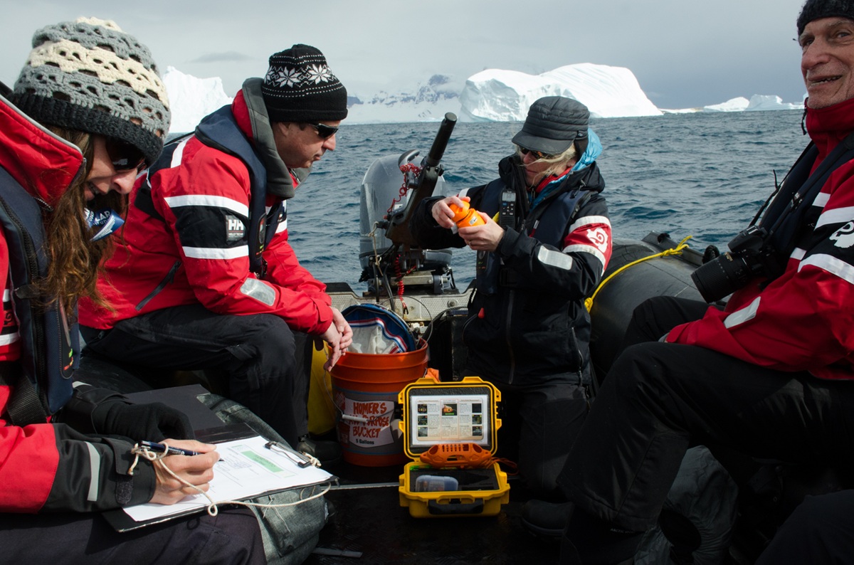 fjord phyto castaway